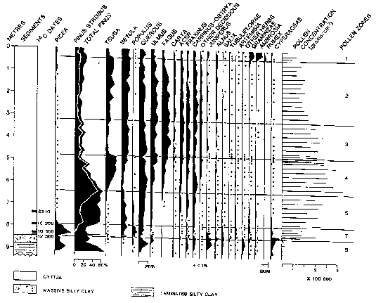 Pollen Diagram - Lamb's Pond, Ontario