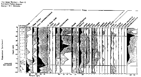 Pollen Diagram 1 of 3 - Hill Island, Ontario